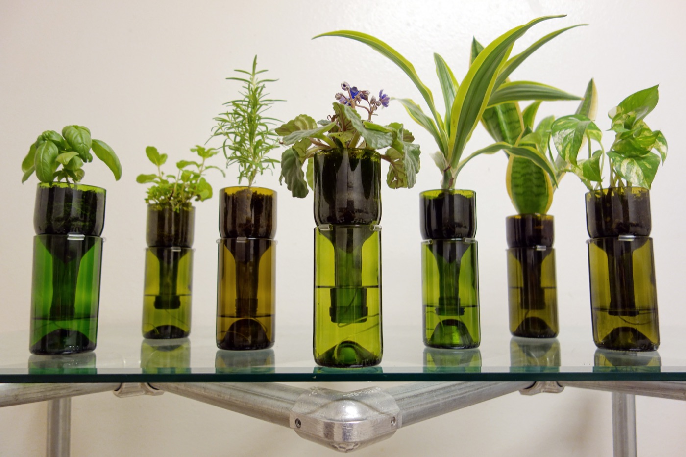 Refresh Glass